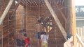 DSC00910