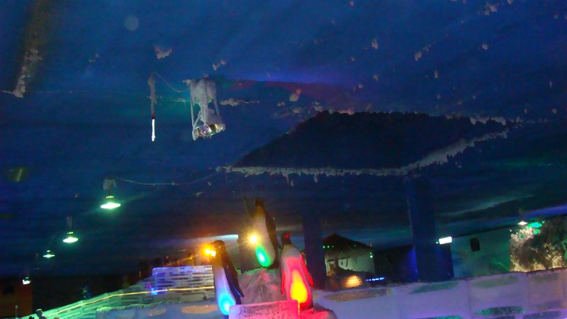 DSC01050.JPG