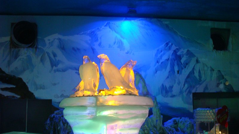 DSC01083.JPG