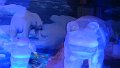 DSC01058