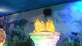 DSC01084