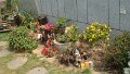 DSC01474