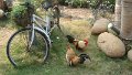 DSC01489