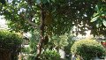 DSC01508