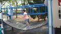 DSC01522