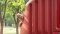 DSC01527