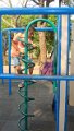 DSC01530