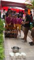 DSC01587