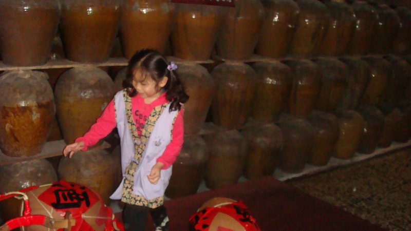 DSC02345.JPG