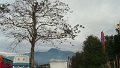 DSC02324